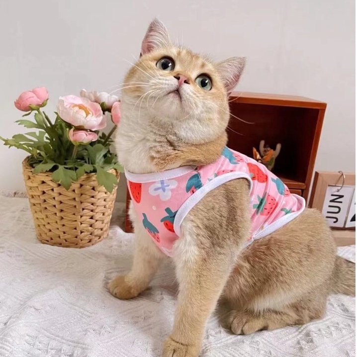 Hipidog Áo thích hợp cho thú cưng thoáng khí size xs-xl