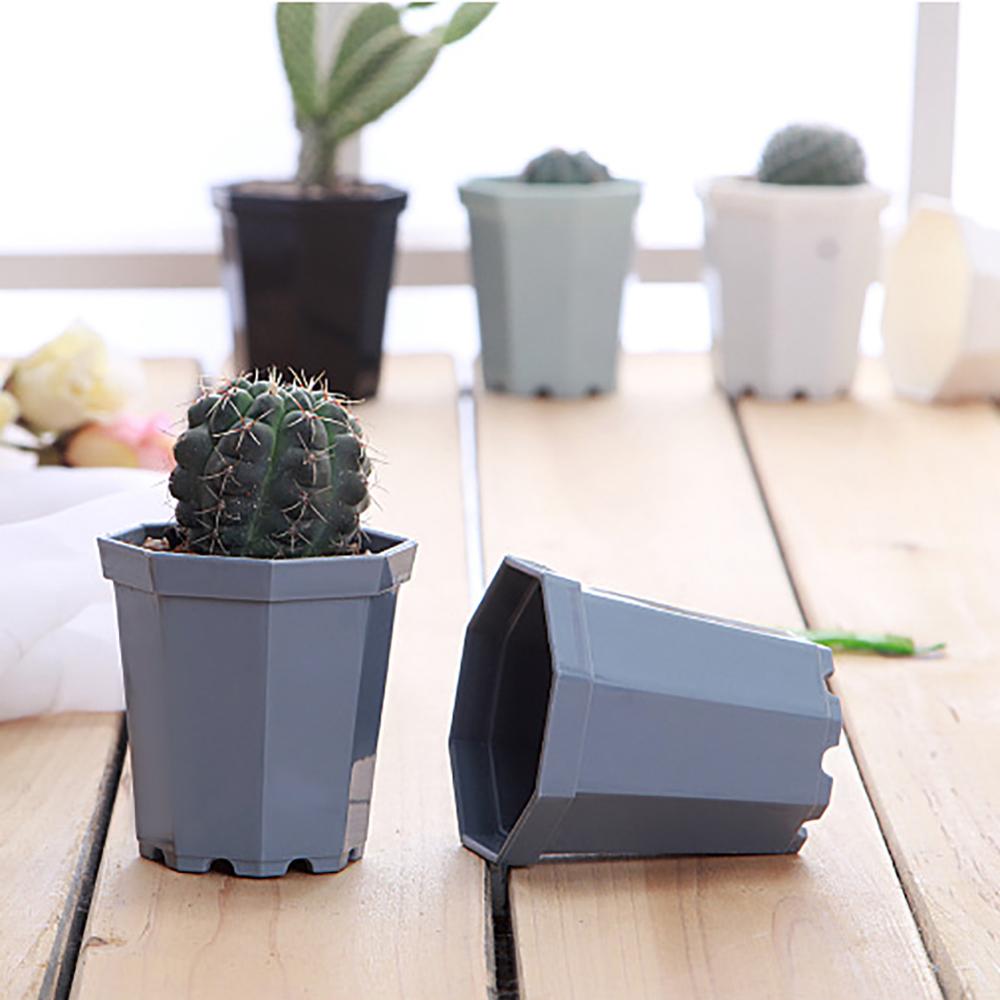 Chậu hoa nhựa hình bát giác phong cách hiện đại