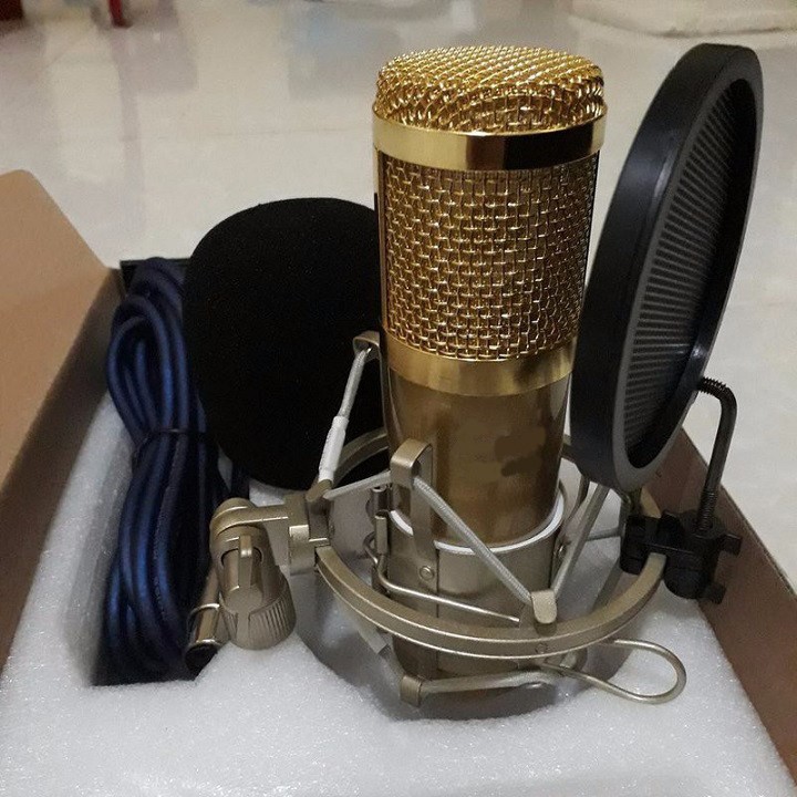 Micro Karaoke Thu Âm Chuyên Nghiệp Bm 900