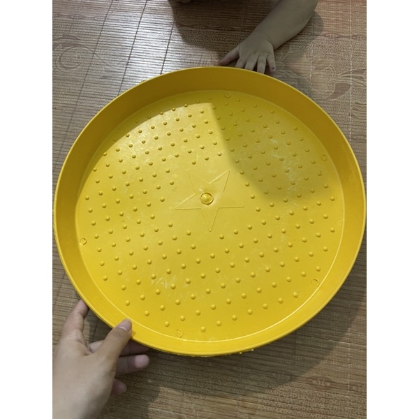 Mẹt cho gà vịt úm