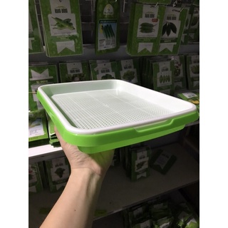 Khay trồng rau mầm