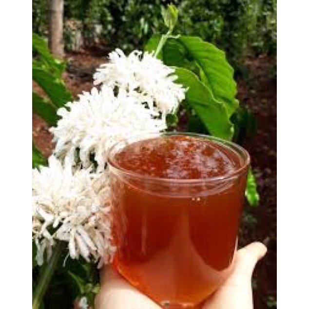Mật ong hoa cà phê Tây nguyên nguyên chất có chai dùng thử