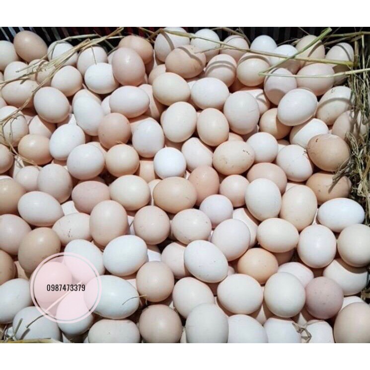 Trứng gà ta quê tươi, ngon, sạch