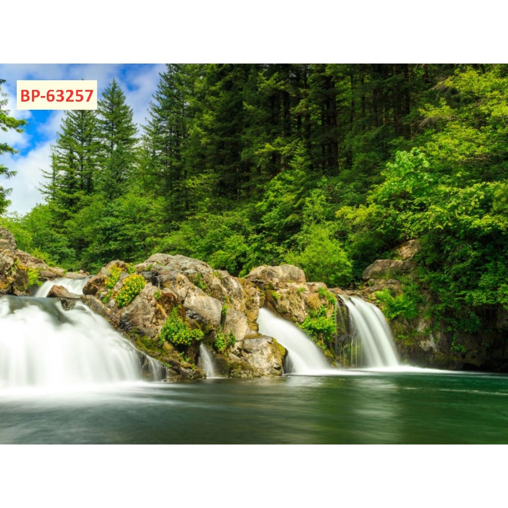 Tranh 3D Thác Nước Thiên Nhiên Đẹp Hũng Vỹ một trong những tặng vật vô giá mà thiên nhiên ban tặng