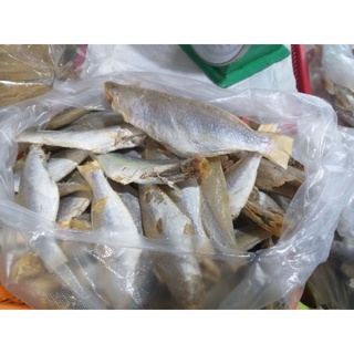 500g khô cá đổng/ cá hường - cá biển pt