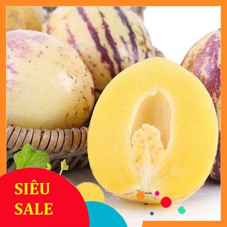 4 Hạt giống Dưa Pepino (tặng gói kích nẩy mầm và hướng dẫn) VIETPHAT