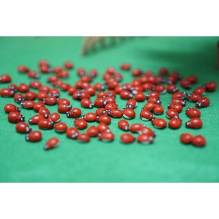 [500đ/con] Mô hình bọ dừa Ladybug trang trí tiểu cảnh, miniature