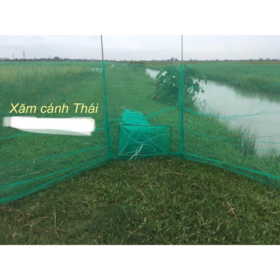 Đăng chặn sông, cống - bắt tôm tép tất cả các loại cá - Dớn bắt cá, cua, lươn