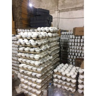 Cốc sứ đẹp có quai