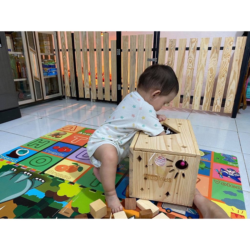 Hộp thả hình khối bằng gỗ-5saokids