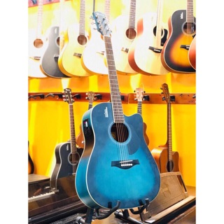 Guitar Rosen