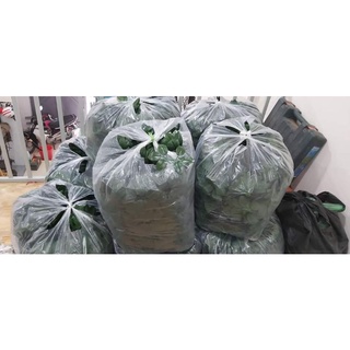 1kg lá hồng làm hoa sáp, trang trí hoa