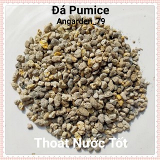 Đá pumice - 200gram - đá bọt - trồng sen đá ,bon sai ,lan, cây cảnh.