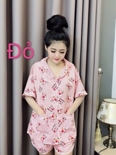 ĐỒ BỘ KATE QUẦN SHORT CỔ PYJAMAR