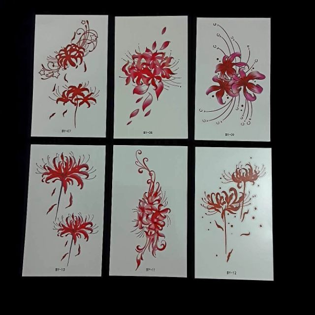 Combo 30 tấm hình xăm nước hình xăm dán Hoa Bỉ Ngạn đẹp dễ thương hot hit giá rẻ