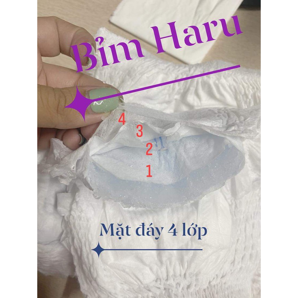 Tã/Bỉm HARU xuất Nhật quần size M50/L50/XL50/XXL50/ XXXL50