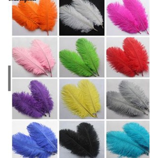 Lông vũ tự nhiên 15-20cm, lông đà điểu tự nhiên trang trí