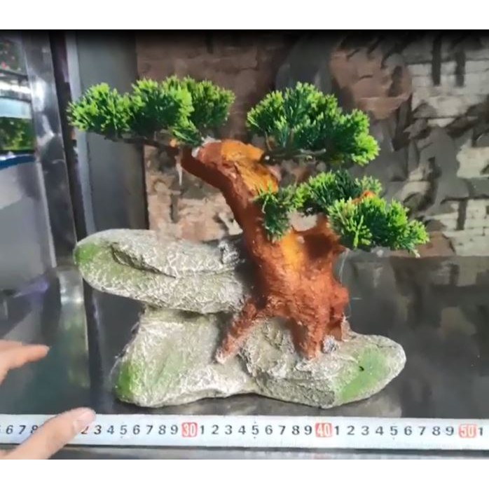 Mô hình mẫu cây trên vách đá sử dụng cho bể cá cảnh thủy sinh