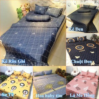 Chăn hè đẹp trần bông cotton poly sét 5 món (Được lựa mẫu)