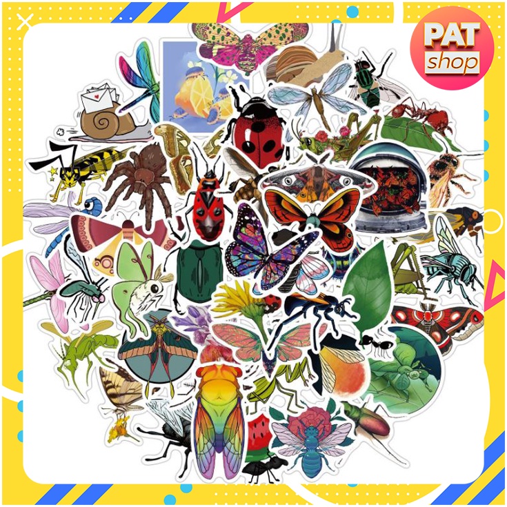 Sticker PVC Trang Trí BST Hình Vẽ Côn Trùng #220