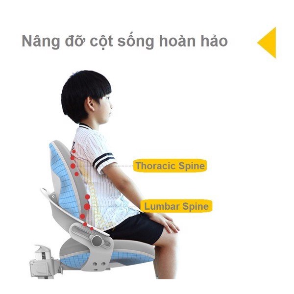Ghế chống gù ROYAL C02_bàn học chống gù _sihoo