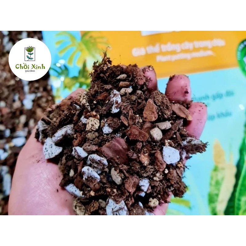 Giá thể kiểng lá Potting Soil BA trộn sẵn