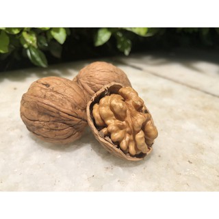 Óc chó vàng nguyên hạt