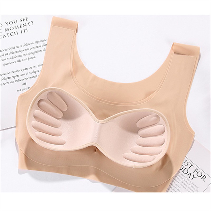 Áo Ngực Thể Thao Không Đường May Có Độn Gợi Cảm Cho Nữ