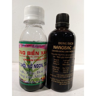 combo dung dịch nano bạc a68+ phân bón rong biển xanh bật chồi-nở ngọn-to lá