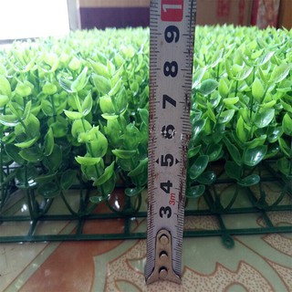 [ THẢM CỎ HÀNG CAO CẤP ] thảm cỏ tai chuột