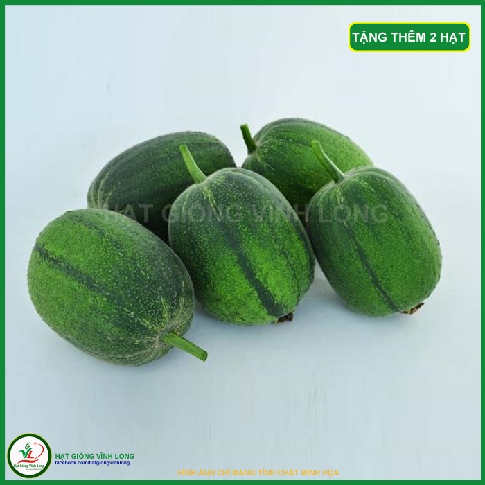 Hạt giống Mướp Táo Mỹ Nhân - 5 hạt