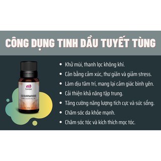 Tinh dầu gỗ Tuyết Tùng - Essenbee (20ml)