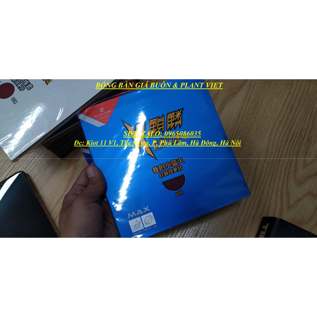 MẶT VỢT REACTOR CKYLIN PRO (CHỮ VÀNG)