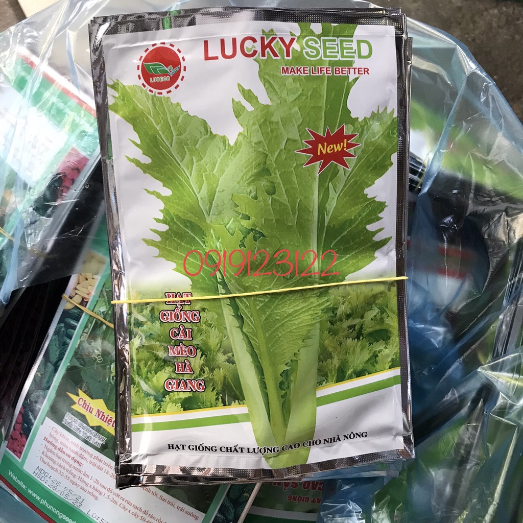 HẠT GIỐNG CẢI MÈO HÀ GIANG 20g