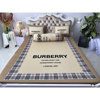 Bộ drap thun lạnh ý 5D cao cấp