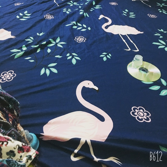 Set vải Ms. Tuoi