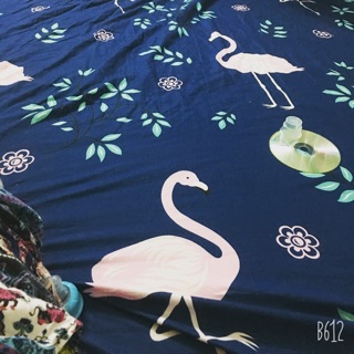 Set vải ms. tuoi