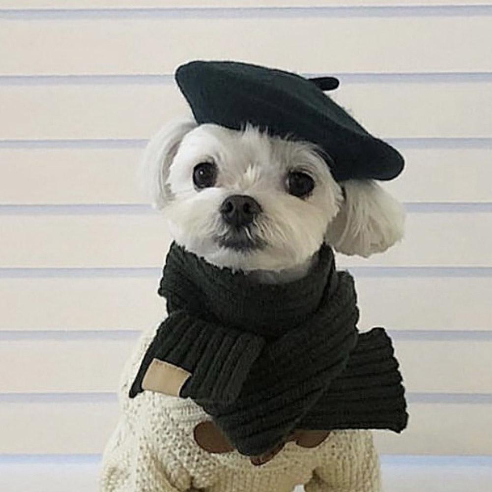 Mũ Beret Màu Sắc Xinh Xắn Cho Thú Cưng T2T5