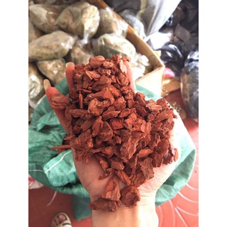 Vỏ Thông Đỏ,vỏ thông trồng lan