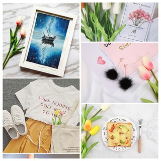 Hoa Tulip trang trí chụp ảnh (Nhiều màu)