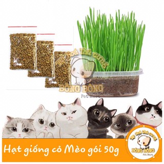 [HCM]Hạt giống cỏ mèo bổ xung chất xơ và đẩy búi lông ra ngoài