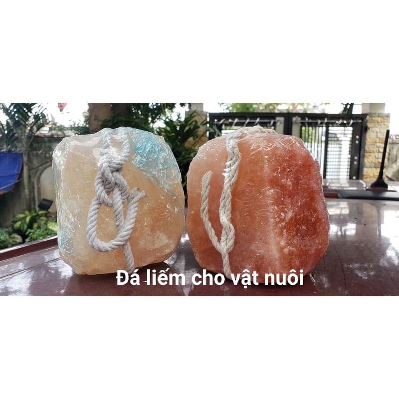 Đá liếm Himalaya khai thác và nhập khẩu từ Pakistan