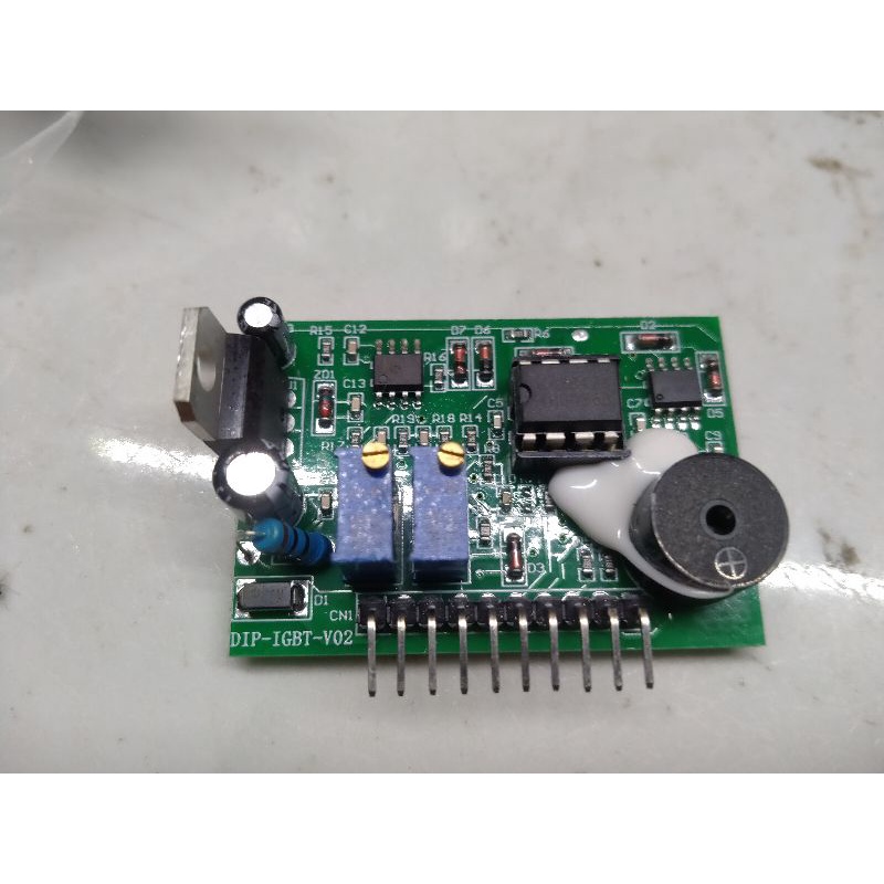 Bo lái igbt nước mặn