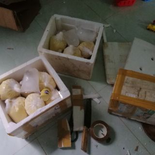 500g sữa ong chúa tươi
