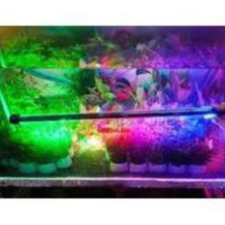 Đèn led chìm hồ cá 30cm