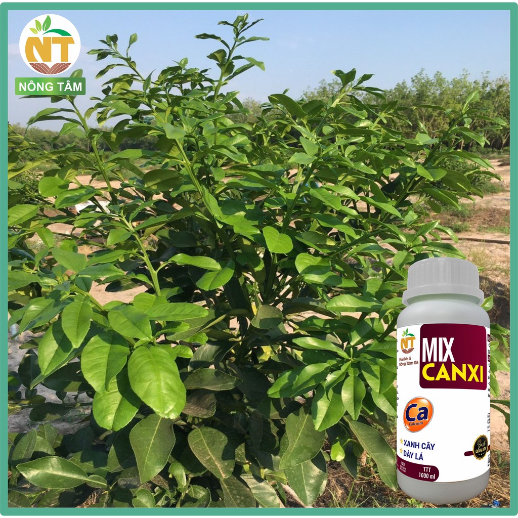 Mix Canxi cứng cây, dày lá chuyên dùng cho cây ăn trái, cây công nghiệp, chai 1000ml