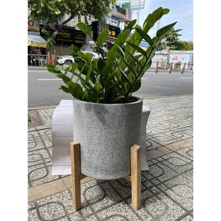 Đôn gỗ để chậu cây, kệ gỗ lót chậu, đôn gỗ trang trí, tiện dụng, gỗ tự nhiên, nhiều size