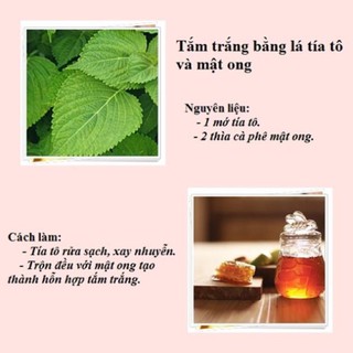 Bột Lá Tía Tô Nguyên Chất (Perilla Frutescens Powder)