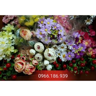 Combo lá lan hồ điệp hoa phụ kiện