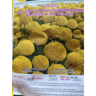 Hạt giống hoa vạn thọ Pháp cao vàng chanh